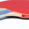 DHS Table Tennis Racket Set (2 Rackets + 1 Ball)