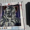 Cute Tiger Self Adhesive Wall Stickers For Living Room Decor