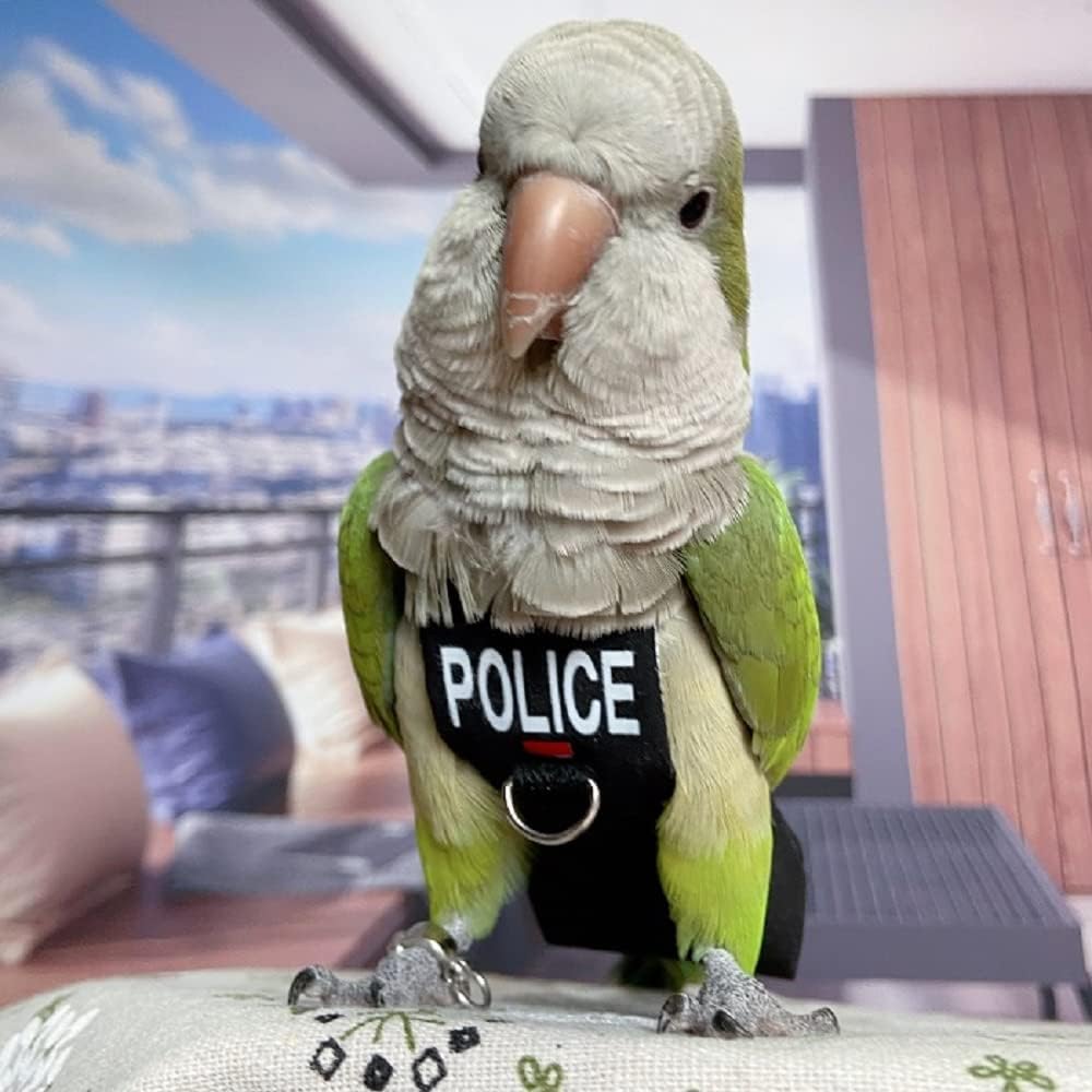 Bird Clothes Parrot Diapers Bird Flight Suits, Reble Waterproof Diapers pet Bird Supplies (2XL)