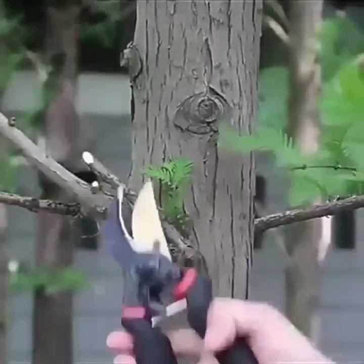 Professionelle Bypass-Gartenschere aus Titan, superscharfe Premium-Gartenschere, Gartenschere für die Gartenarbeit, Gartenheckenschere, Hand-Gartenschere