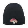 Hip Hop Trend Hat Anime Dragon Ball Wukong Wool Hat Autumn and Winter Cartoon Wu Turtle Letter Knitted Hat Men