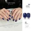 KaSi UV Gel Nail Polish - Autumn/Winter Pure Translucent Nude, Large Capacity, One Bottle One Color.
