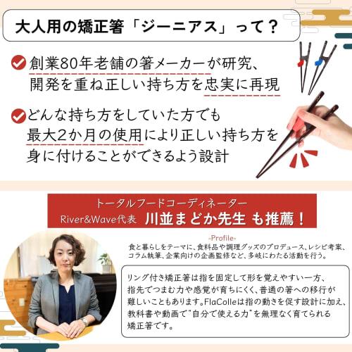 FlaColle Genius Chopsticks for Middle Schoolers To Adults: "Never Give Up, Serious Chopsticks for Adults" - Chopstick Practice Chopsticks [Designed To