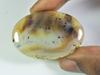 56Cts. Natural Montana Agate Stone Oval Cabochon Loose Gemstone 30X45X04 MM ET-356