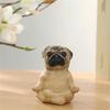 Exquisite Yoga Dog Resin Ornament Bring Serenities to Your Home Decor Children Girl Boys Bedroom Dormitory DropShipping