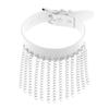 Hip Hop Non Mainstream Punk Leather Men Women Collar Personality Metal Tassel Necklace Clavicle Chain