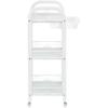 Hairdressing Assistant Trolley Table on Wheels for Dyeing B74-St021 for Beauty Salon Cabinet with Drawers