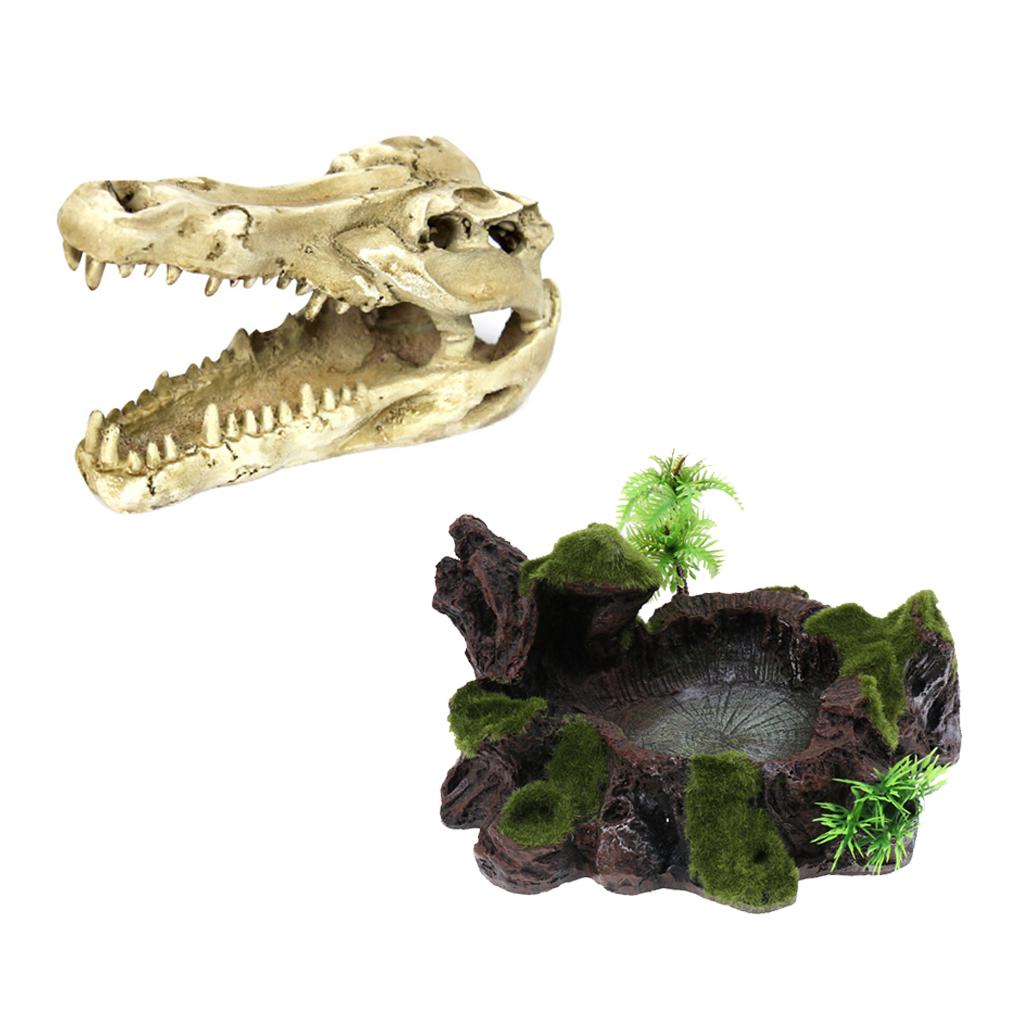 vivarium accessories