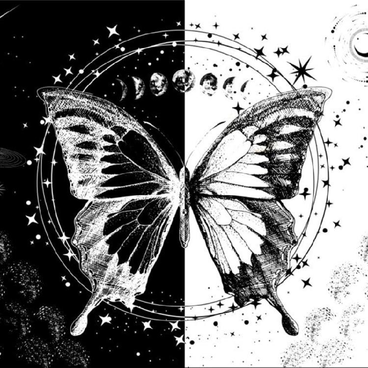 Tapestry Butterfly Moon Phases Tablecloth Bedroom Decorative Background Cloth