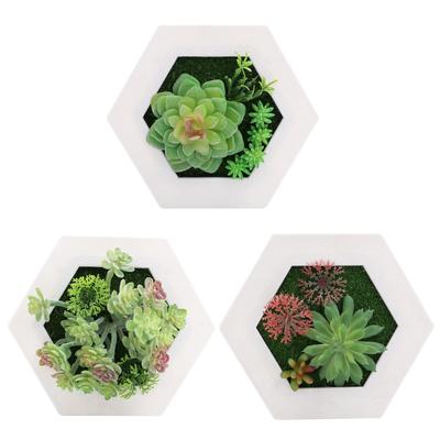 East Leaf Wall Greenery, Faux Wall-Mounted Plants, Set of 3 (Hexagonal), Succulent Plants for Display and Home Decor
