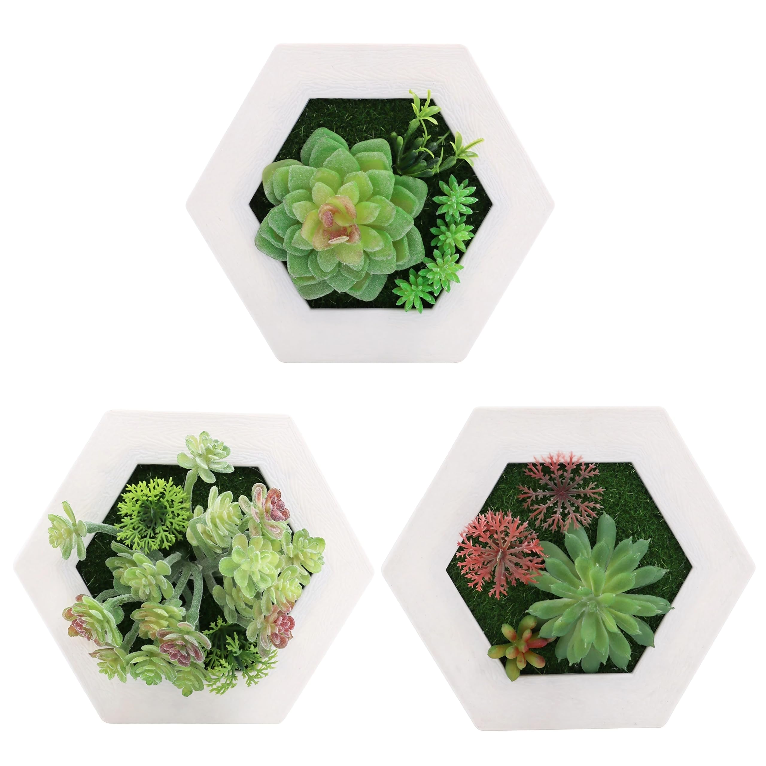 

East Leaf Wall Greenery, Faux Wall-Mounted Plants, Set of 3 (Hexagonal), Succulent Plants for Display and Home Decor