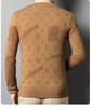 Men's Casual Light Jacquard Knitted Pullover Sweater - Long Sleeve, Round Neck (Autumn/Spring)