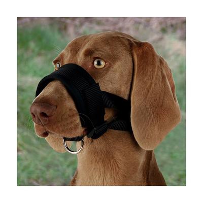 Dog-specific Protective Muzzle L Size