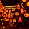 Laiming Festive Persimmon & Lucky Bag LED String Lights
