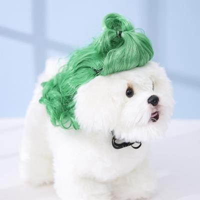 Giyim ve ayakkabı – Köpek Aksesuarları
