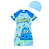 Boys' Cartoon Short-Sleeve One-Piece Swimsuit with Zipper and Sun Protection (2025)