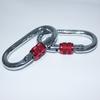 2Pcs Alloy Steel Carabiner Clip Heavy Duty Outdoor Climbing Safety Main Buckle 25KN Elliptical Mountaineering Buckle for Camping Hiking