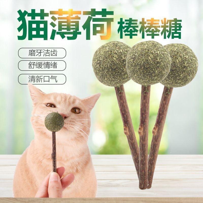 Catnip Stick Toy Cats - Natural Wood Mint Dental Chew Teeth Cleaning Oral Care