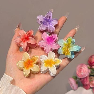 6 Pièces Pinces à Cheveux Dégradées Nouvelles Pinces à Cheveux Fleur Petites Taille Mode Accessoires pour Cheveux Épingle à Cheveux Crabe Barrette Accessoires pour Cheveux pour Femmes