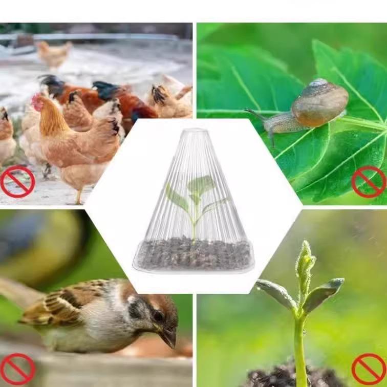 Transparent Cloche Seedling Cover for Insect, Bird, and Frost Protection in Green Vegetable Gardening