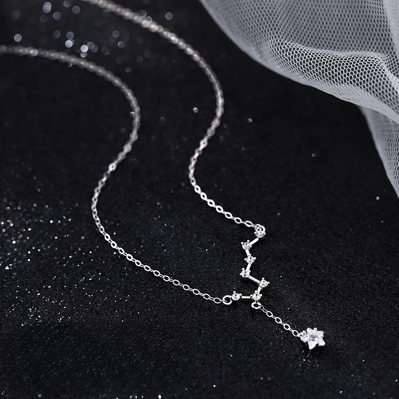 S925 Sterling Silver Necklace Ins Special-Interest Design Light Luxury High-Grade Women's Elegant All-Match Clavicle Chain