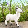 Dekorativní pryskyřičné sochy ovcí pro obývací pokoj nebo zahradní ornamentiku Bílá jehňata Miniatury Figurky Ozdoby