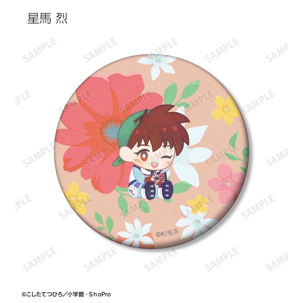 TV Anime "Bakusou Kyodai Let's & Go!!" Trading Botania Matte Can Badges, Box of 10