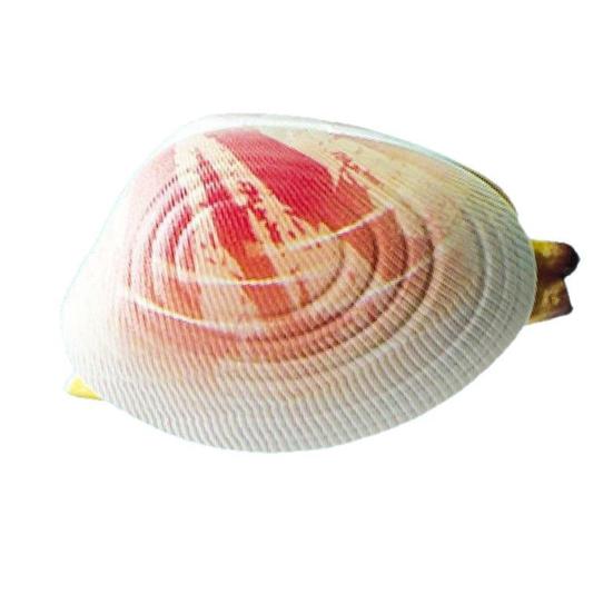 5Pcs Water Spray Toy Strong Clam-Shaped Water Play Toy Mist Sprayer Novelty Summer Beach Party Accessory
