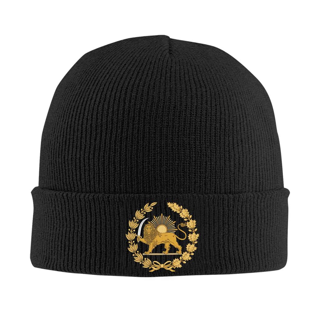 Lion and Sun of Flag Emblem Knitted Caps Women's Men's Beanie Autumn Winter Hats Acrylic  Warm Caps