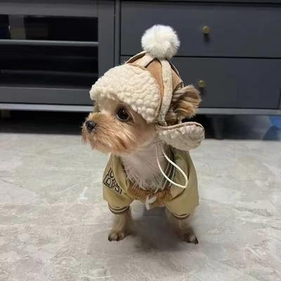 Dog Hat with Open Ears Winter Warm Plus Velvet Pet Headdress Hat