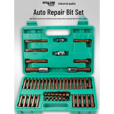60-Piece Star Spline Socket Wrench Set for Auto Repair - Includes Twelve-Point Torx Bits