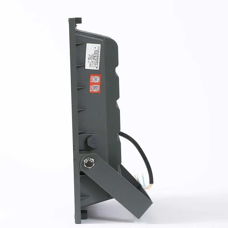 FSL Glory Series 100W LED Floodlight