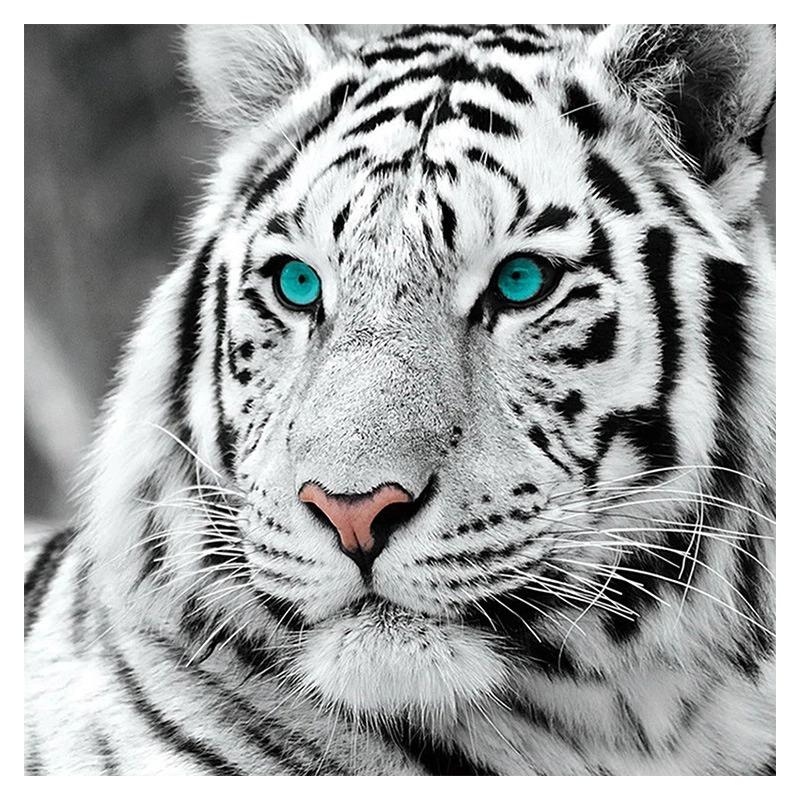 Вышивка Тигр Новогодний Вышивка Тигр Новогодний