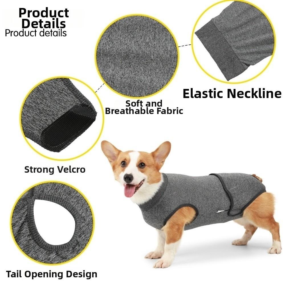 Breathable Dog Physiological Pants Washable Prevent Licking Clothes  for Small Medium Dogs
