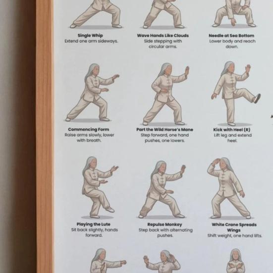 5 kusů Tai Chi cvičební tabule pro seniory a začátečníky, plakát 10x8 palců s jemnými stojenými a sedavými pozicemi, nízkoúderový fitness průvodce pro flexibilitu