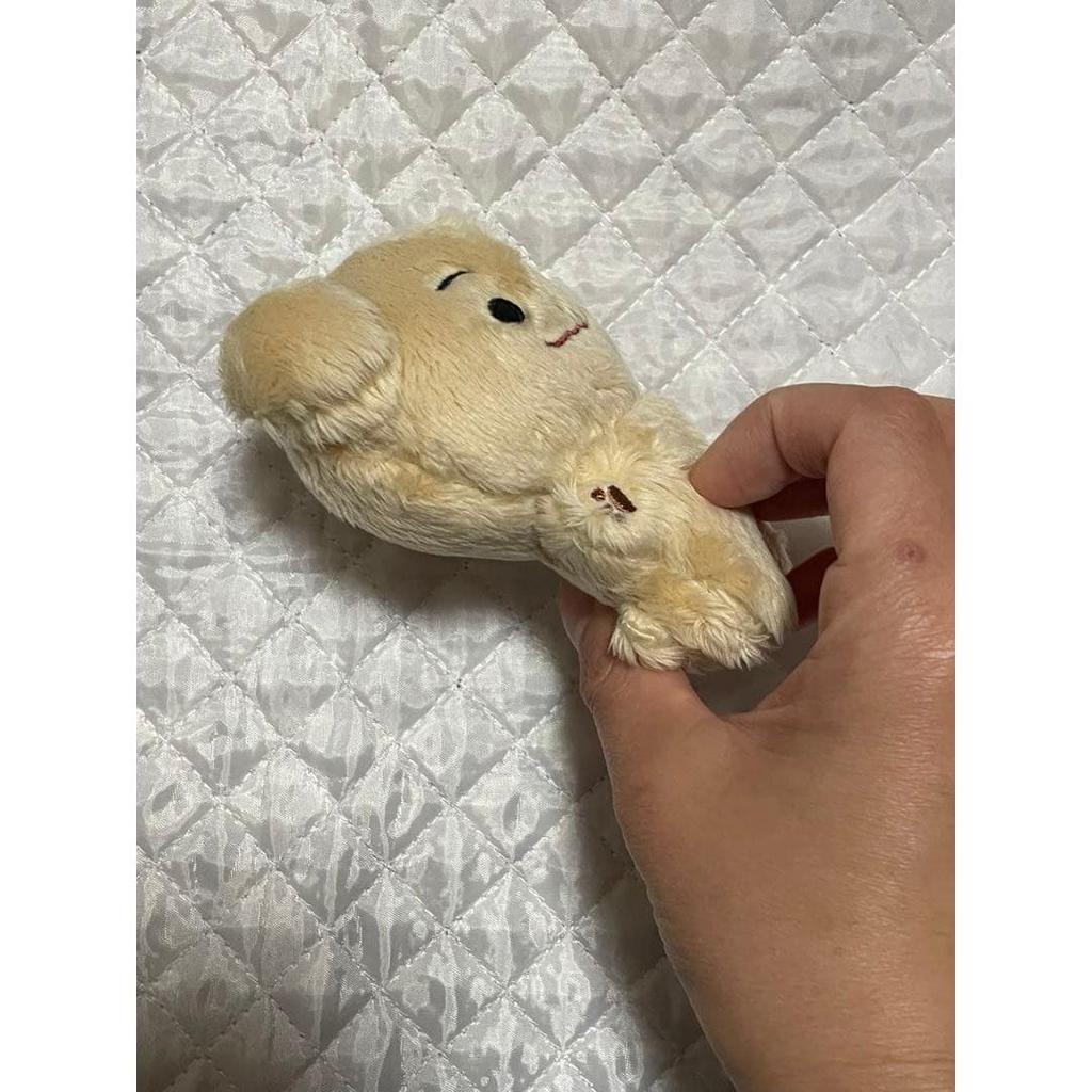 Used ENHYPEN Jake En Animals Doll Stuffed Toy 10cm Doll