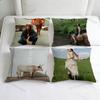 Middle Nowhere Kacey Musgraves Decorative Square Pillow Cover Modern Cushion Case for Living Room Bedroom