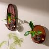 Vază de sticlă de perete Ghiveci de flori Decorațiune perete de fundal Pandantiv acvariu Vas hidroponic Accesorii decorațiuni casă