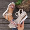 Fashion Women Sandals Peep Toe 2025 Summer Fashion Outdoor Sandal Women Buckle Strap Platform New Wedges High Heels Sandalias De Mujer