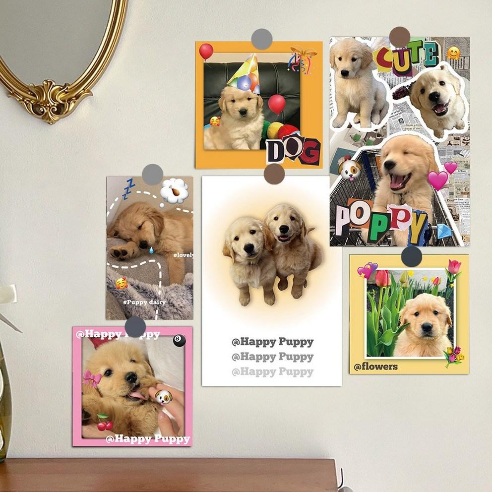 

Drop Shop [15-Sheet Set] Golden Reed River Postcard Photo Card Emotional Background Photo Interior Prop Wall Decoration, 15 Sheets