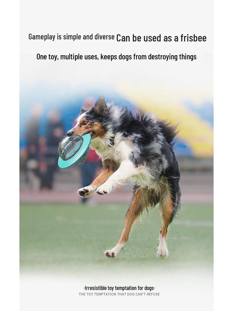 Kausichere Hundespielzeuge: Pädagogische Frisbee & Futterleckball Set