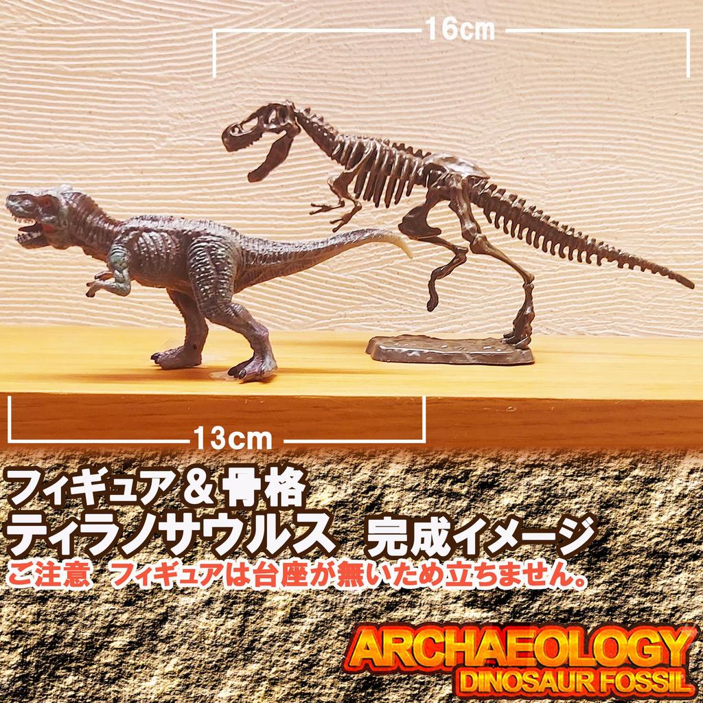 Excavation Kit for Pteranodon Ages Includes Dinosaur Figure and and Magnifying Plaster Fossil Plastic Independent Science Educational Toy Dinosaurs,