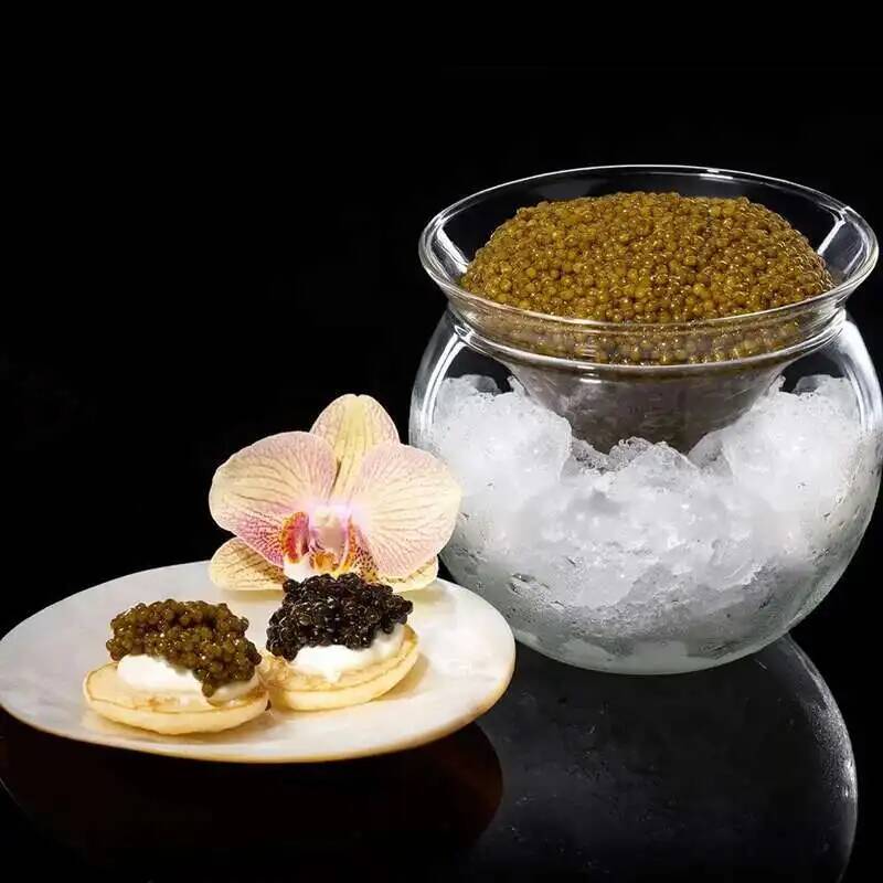 2022 Unique Cocktail Glass Fancy Restaurant Artistic Conception Dry Ice Set Molecular Gastronomy Container Martini Smoothie Cup