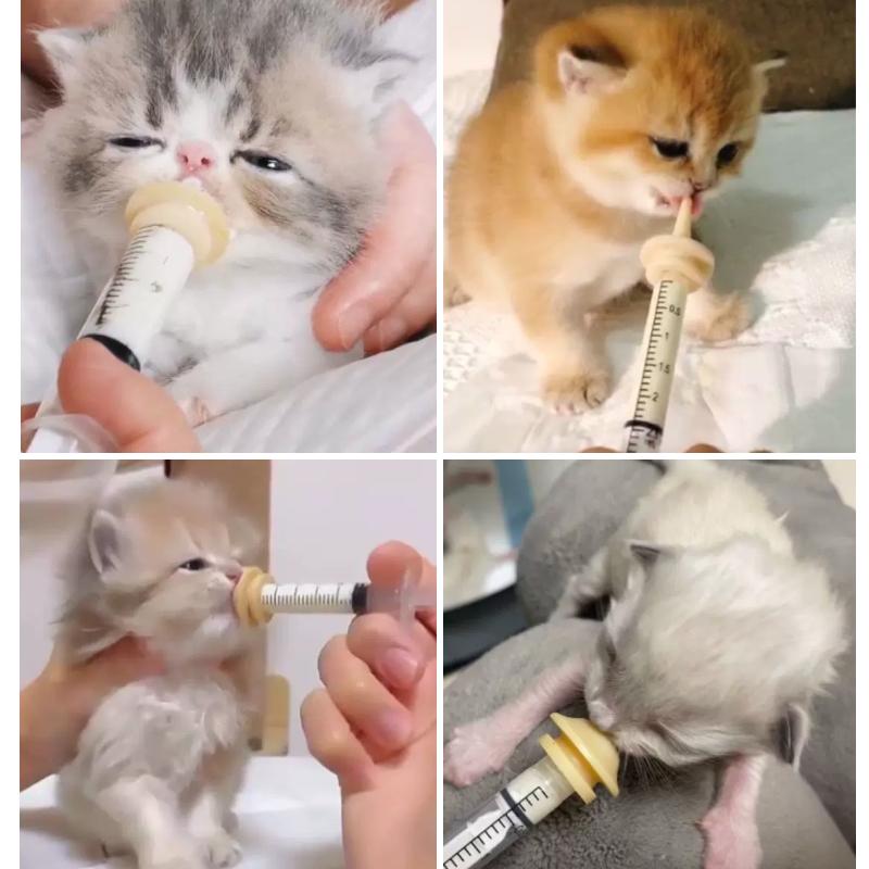 5pcs Newborn Pet Feeding Nipple For Dog Cat Hamster Parrot Feeding Pacifier Medicine Feeding Pets Oral Syringe Silicone Nipple