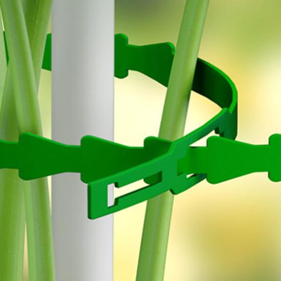 Regulowane opaski do roślin Wielofunkcyjne Elastyczne Plastikowe Opaski zaciskowe Opaski do zarządzania kablami Ogrodowe Opaski wspierające rośliny dla pnączy Krzewów