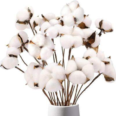 Cotton Stems , Natural Dried Flowers Cotton Sprigs for Vase Fillers and Floral Arrangements - Fall Decorations and DIY Crafts