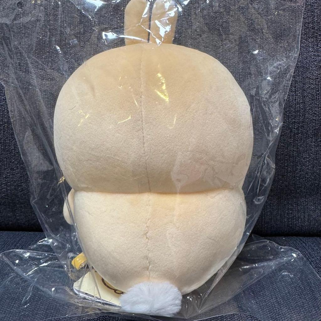 Chiikawa Kanin Usagi Bocchari Tjock Gosedjur Fylld Docka H22cm från Japan 2026