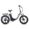 FAFREES F20 Pro Electric Bicycle 250W Motor, 36V 18Ah Battery, 20*3.0 Inch Tire, IP54 Waterproof, 80-100KM Range E-bike