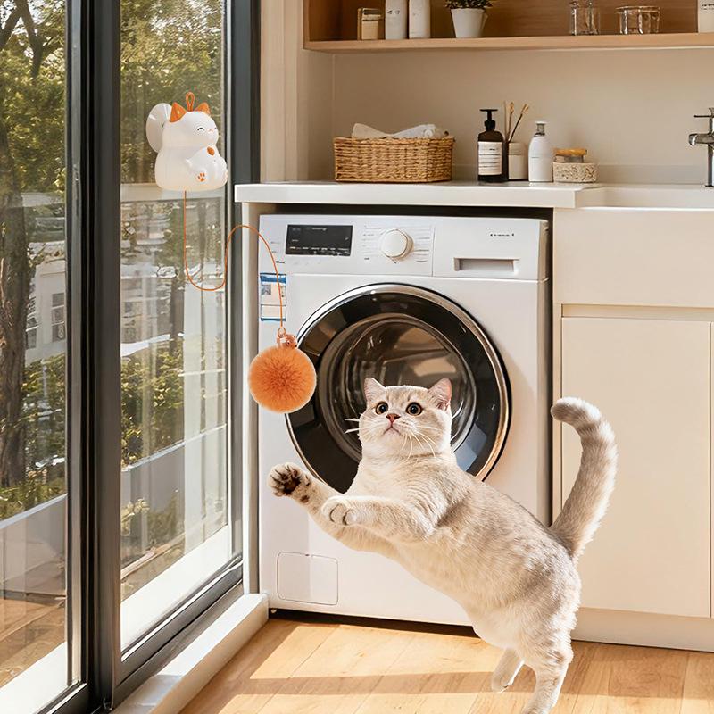 Rechargeable Electric Cat Toy: Automatic Lifting Tease Ball with No Tangles