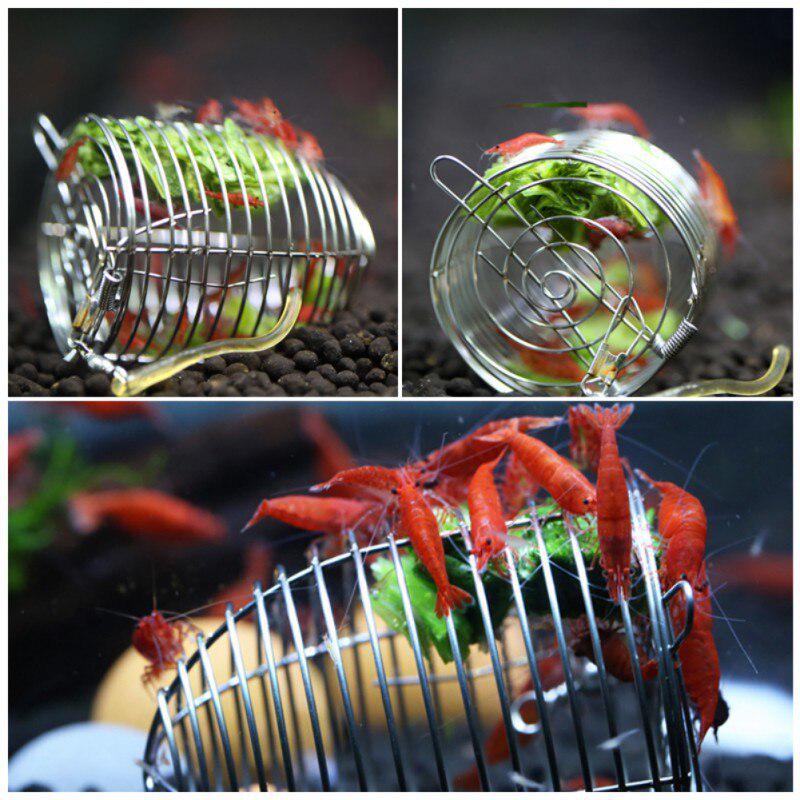 Durable  Aquarium Shrimp Small Bait Feeder Dry Spinach Feeding Stainless Steel Cage